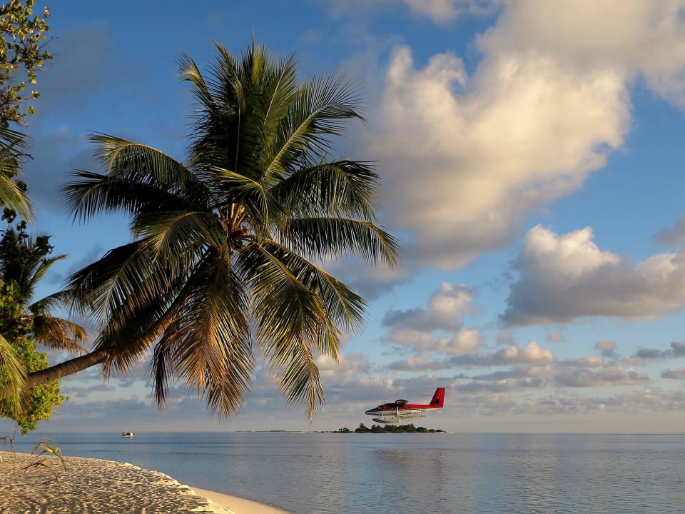 Neue Gäste im Anflug Diamonds Thudufushi