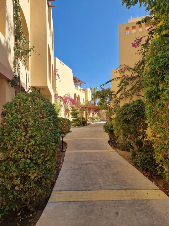 Gartenanlage Steigenberger Coraya Beach - Adults only