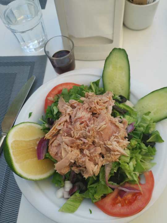 Gastro Seashell Vega