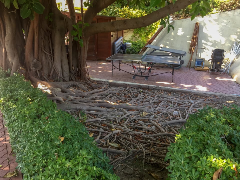 Gartenanlage Side Star Elegance