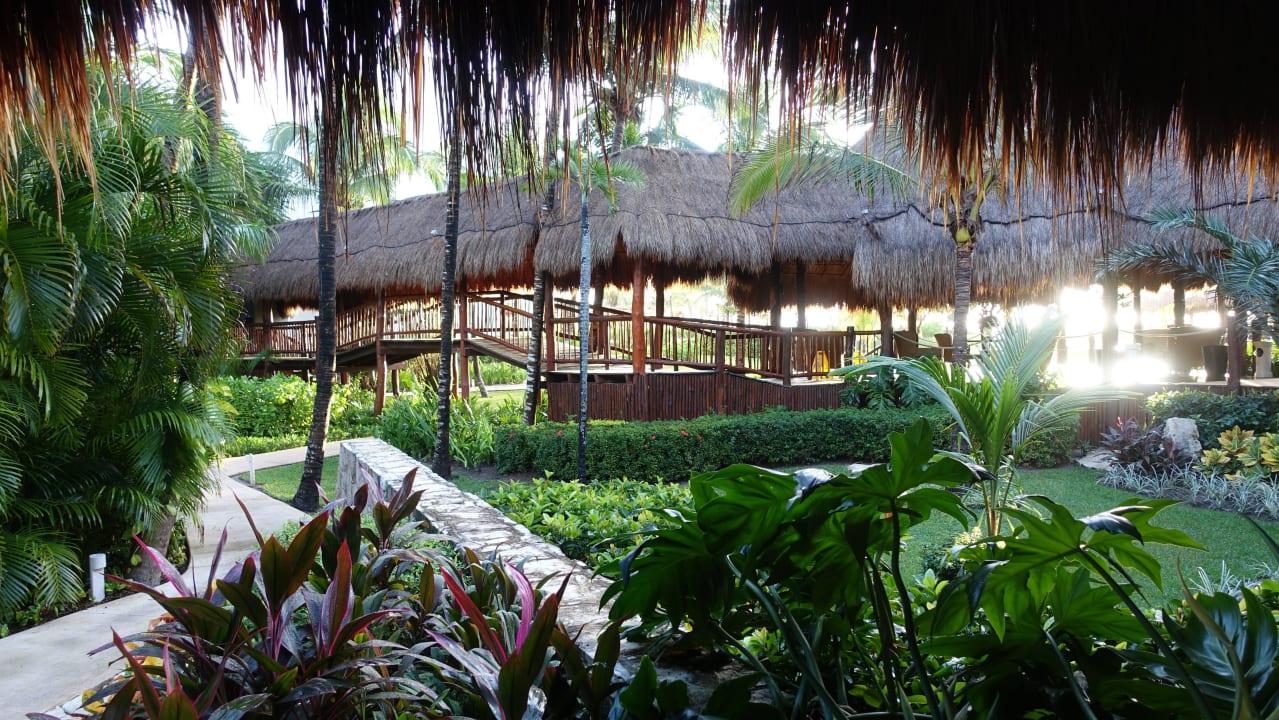 Weg zur Lobby Akumal Bay Beach & Wellness Resort