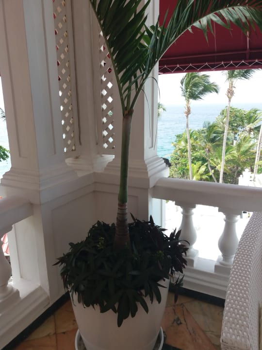 Sonstiges Bahia Principe Grand Samana - Adults Only