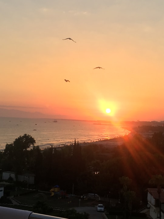 Ausblick Trendy Palm Beach (Adults Only, 16+)