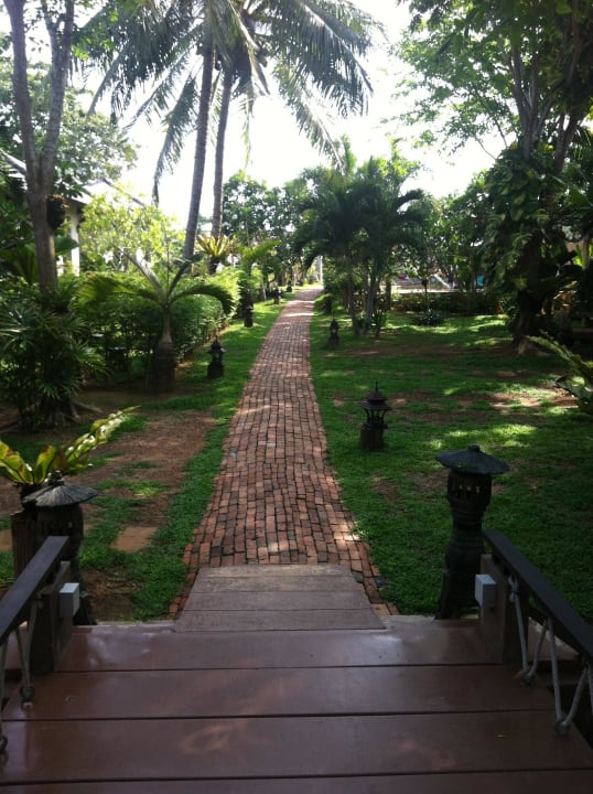 Weg zum Restaurant / Strand Clean Beach Resort