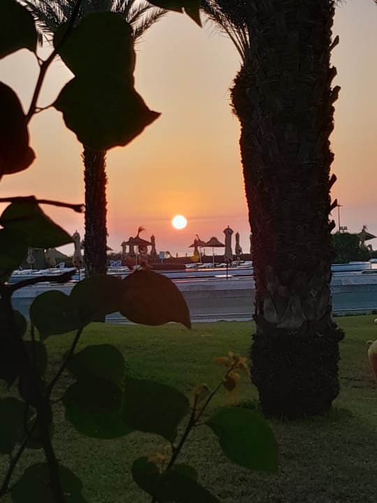 Gastro Iberostar Waves Averroes