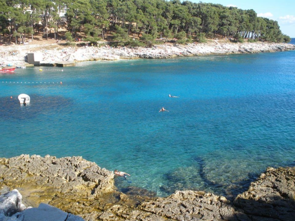 Hotelbucht Hotel Aurora