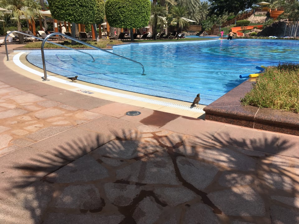 Pool Emirates Palace Mandarin Oriental