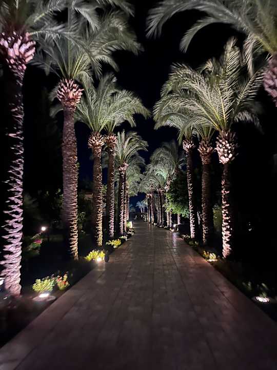 Außenansicht TUI BLUE Palm Garden