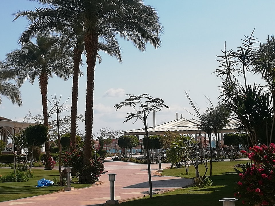 Gartenanlage Jaz Soma Beach