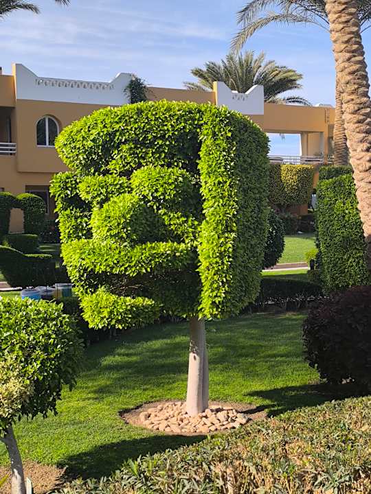 Gartenanlage Golden Beach Resort