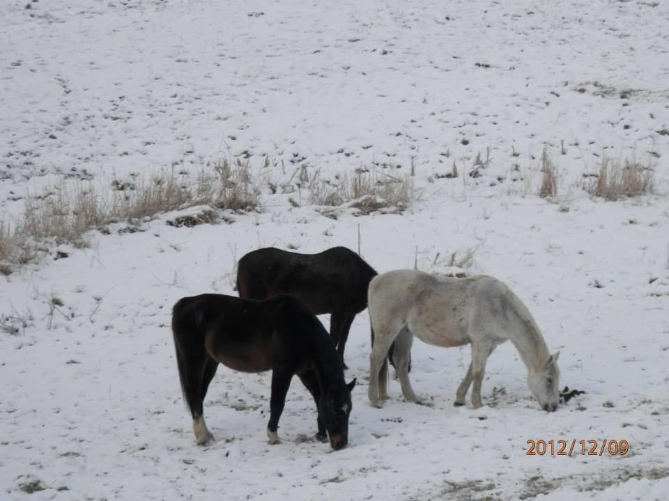 Pohled z terasy Hotel Resort Stein