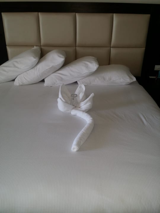 Tolles Bett  Pickalbatros White Beach Resort - Hurghada
