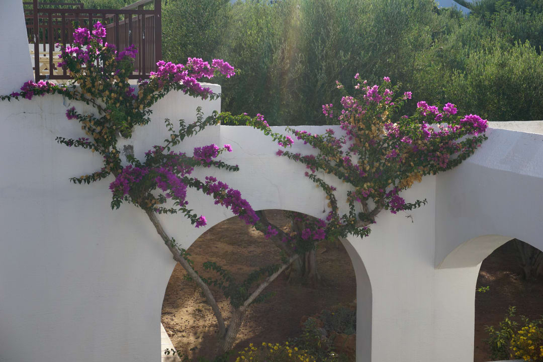 Gartenanlage Creta Maris Resort