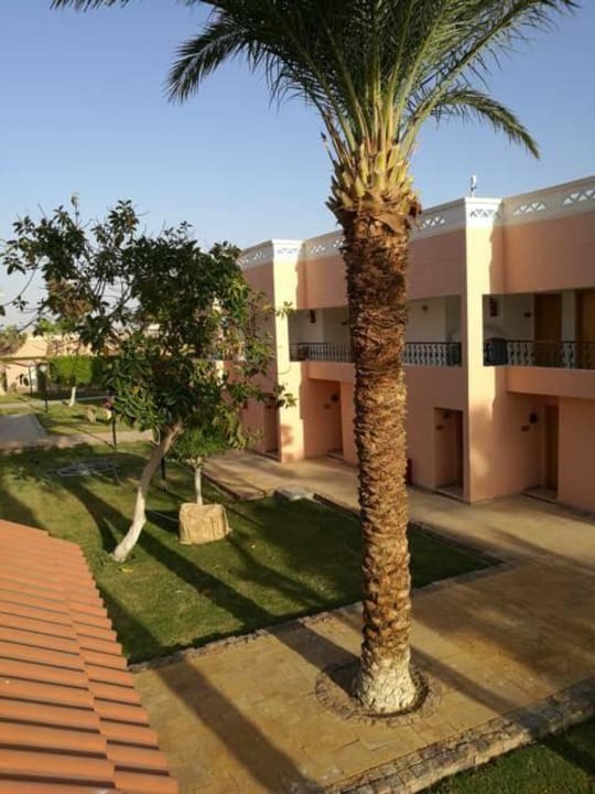 Blick vom Balkon Block 52 Beach Albatros Resort
