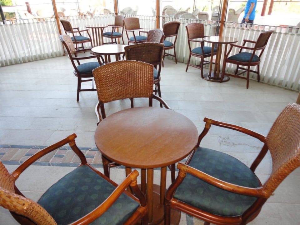 Sentido PALOMA Perissia