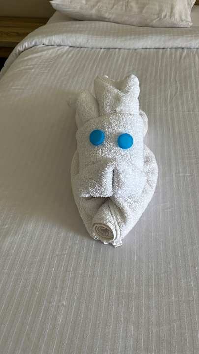 Zimmer Three Corners Sea Beach Resort