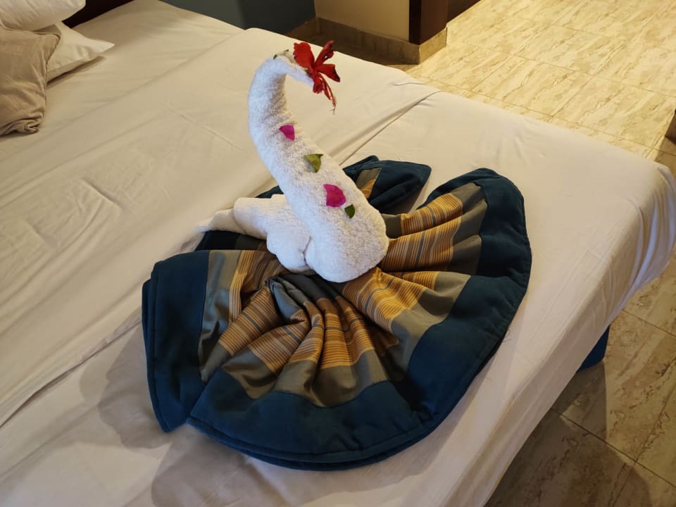 Zimmer Stella Beach Resort & Spa Makadi Bay