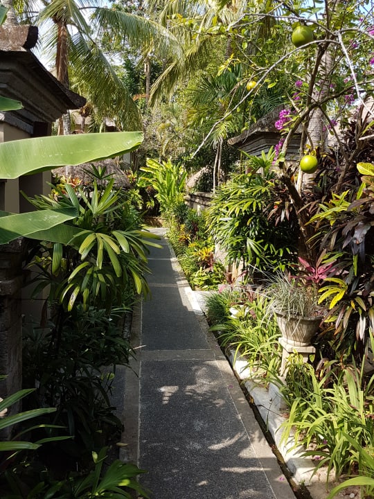 Gartenanlage The Ubud Village Resort & Spa