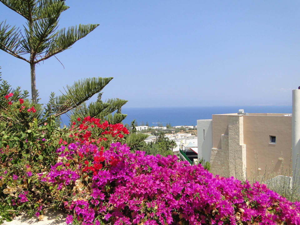 Hotel Grand Hotel Holiday Resort Grand Hotel Holiday Resort