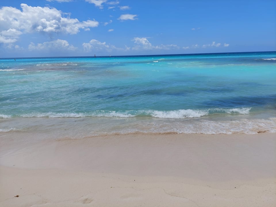 Strand Hotel Viva Dominicus Beach by Wyndham - All Inclusive Resort