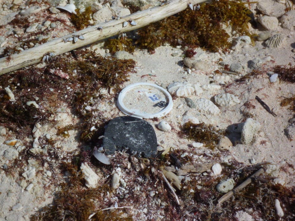 Strand Grand Palladium Kantenah Resort & Spa