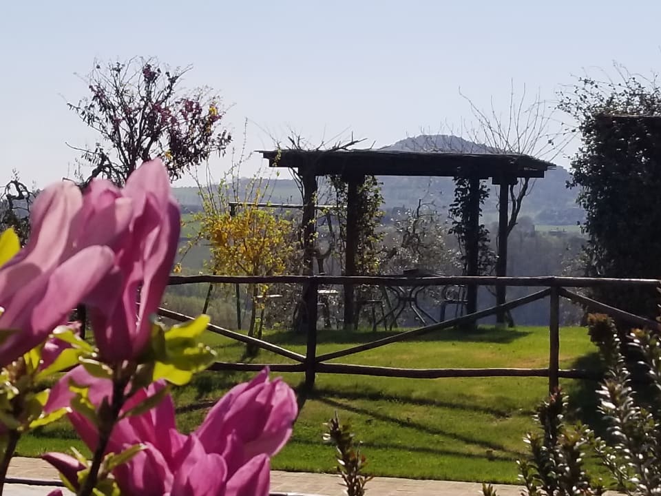 Ausblick Hotel Agriturismo La Bruciata