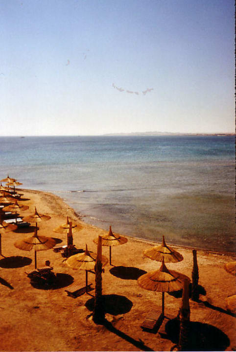 Strand & Meerblick vom Zimmer aus Beach Albatros Resort