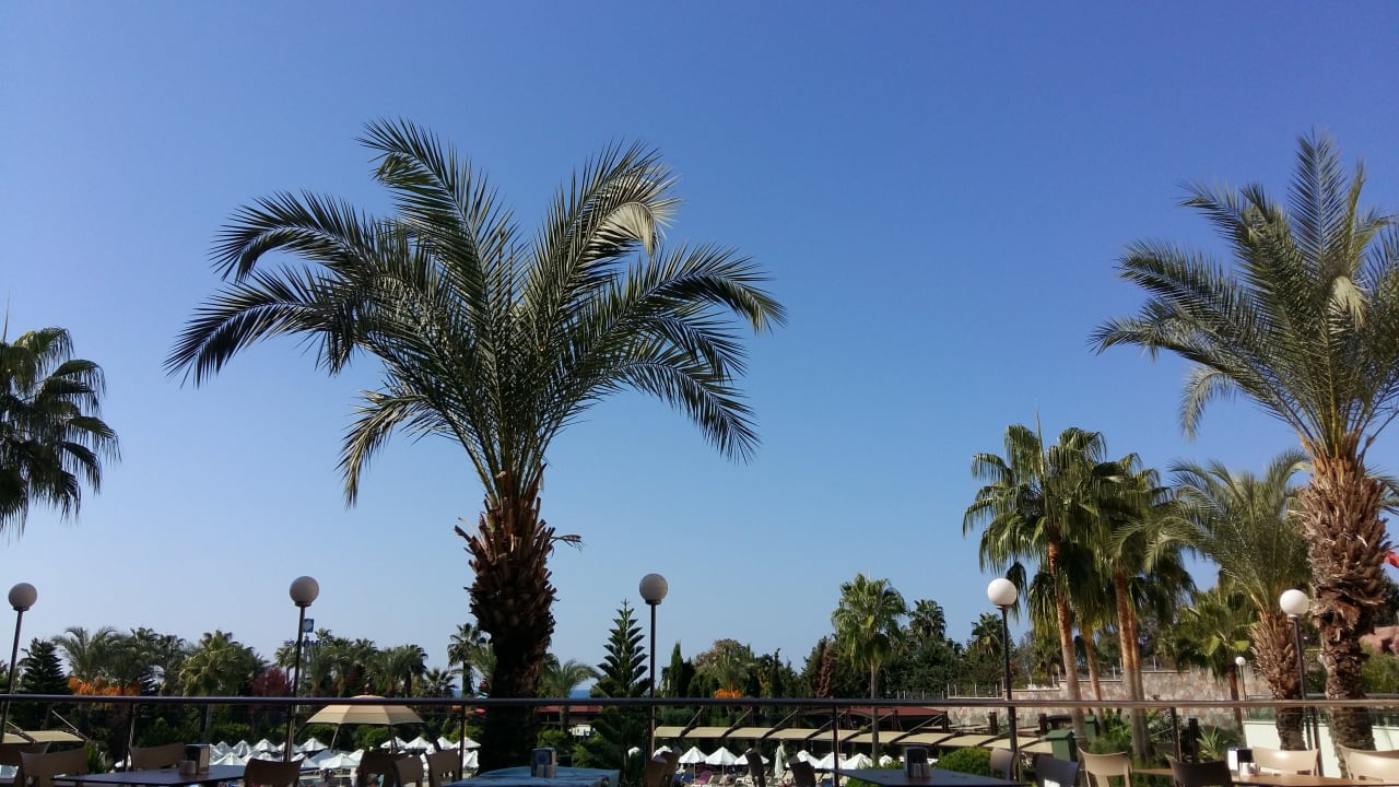 Außenansicht Saphir Resort & Spa