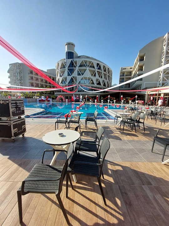 Sonstiges Seashell Vega