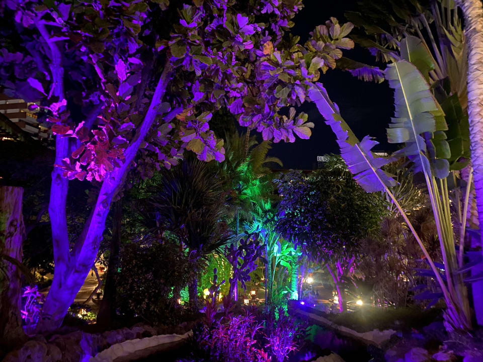 Gartenanlage Hotel Parque Tropical