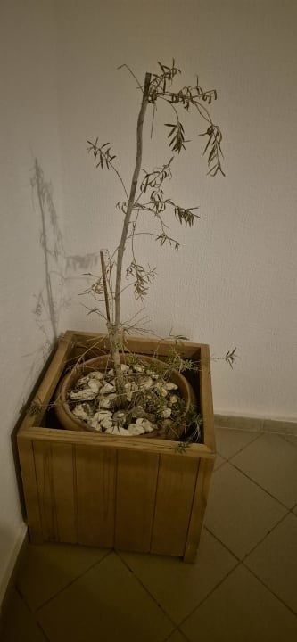 Außenansicht Calimera Yati Beach