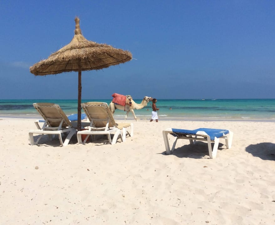 Seabel Aladin Hotel Seabel Aladin Djerba