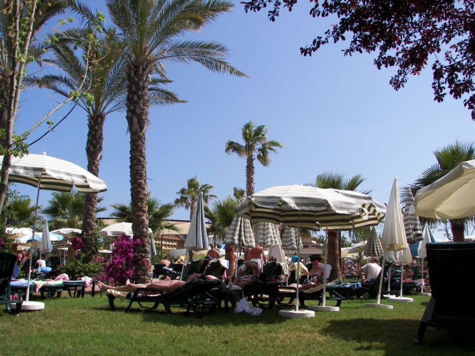 ganz schön was los Hane Family Resort