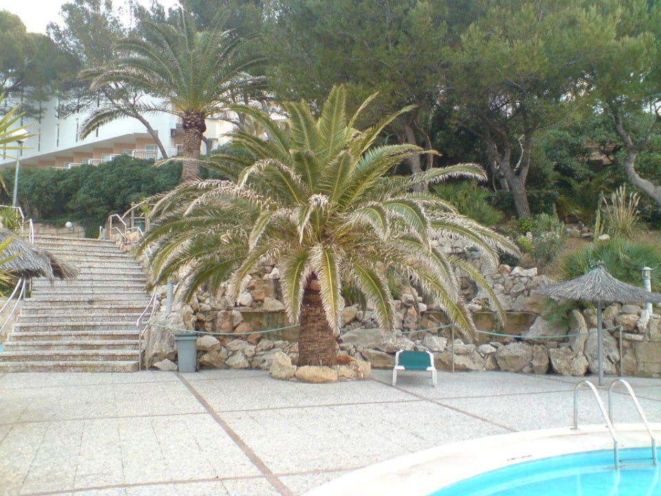 Gartenanlage Hotel Vibra Beverly Playa