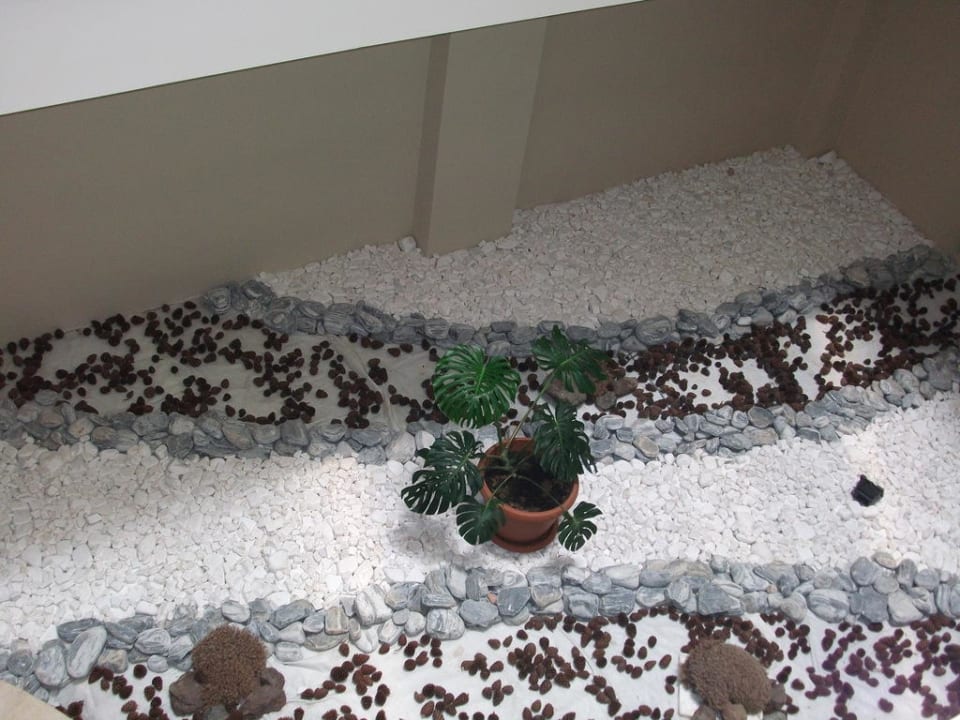 Aussicht vom Aufzug Seaden Sea World Resort & Spa