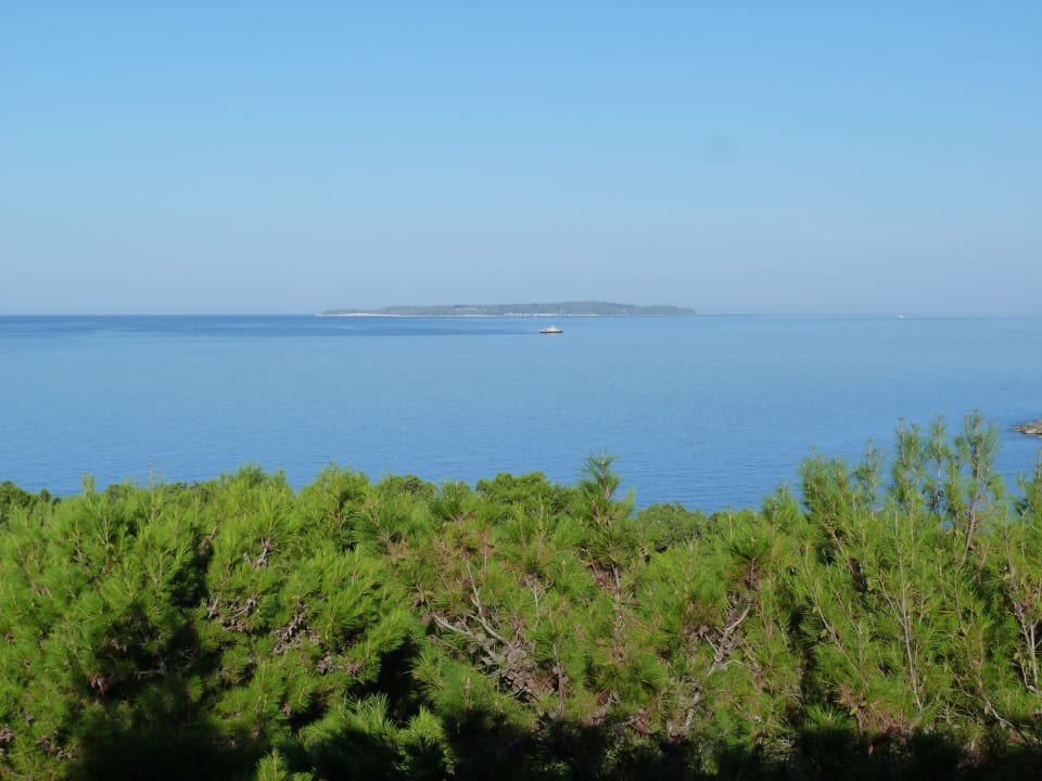 Ausblick aus Zimmer Hotel Aurora