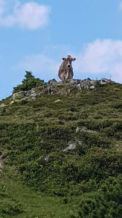 Sonstiges Hotel Rosenstock