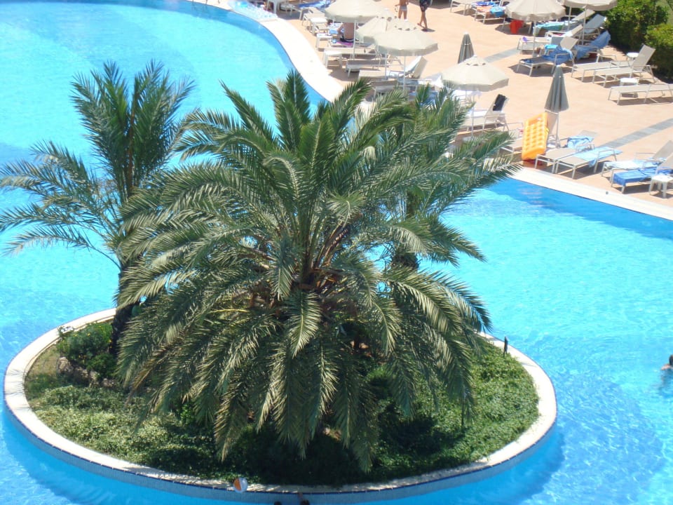 Бассейн Seaden Sea World Resort & Spa