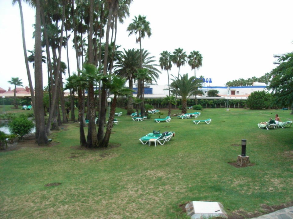 Herrliche Ruhe Hotel Riu Palace Oasis