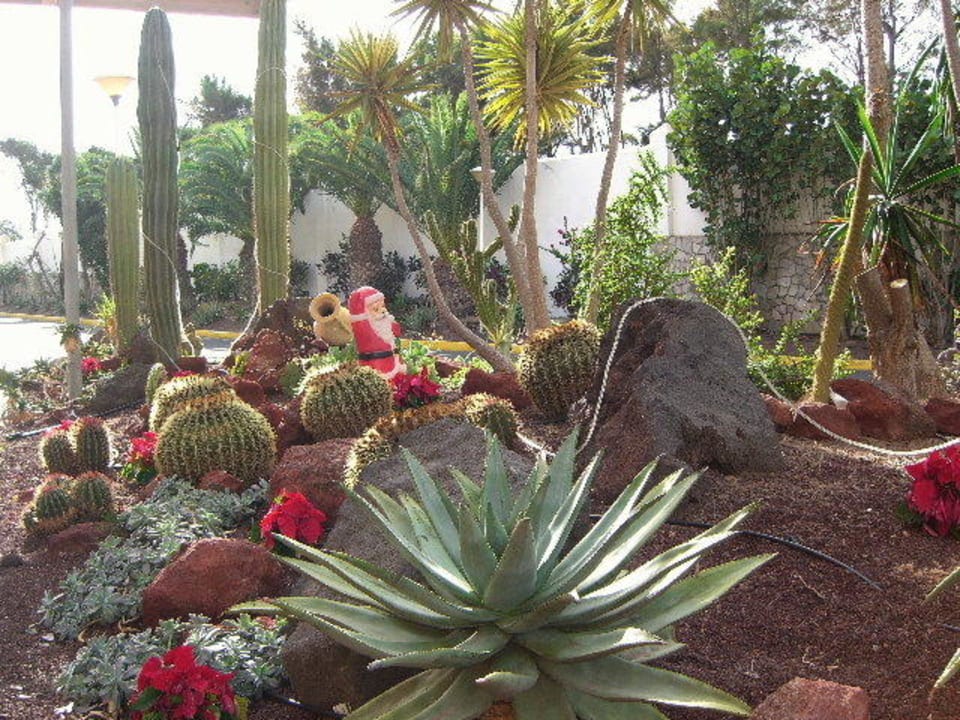 Hoteleingang SBH Club Paraiso Playa