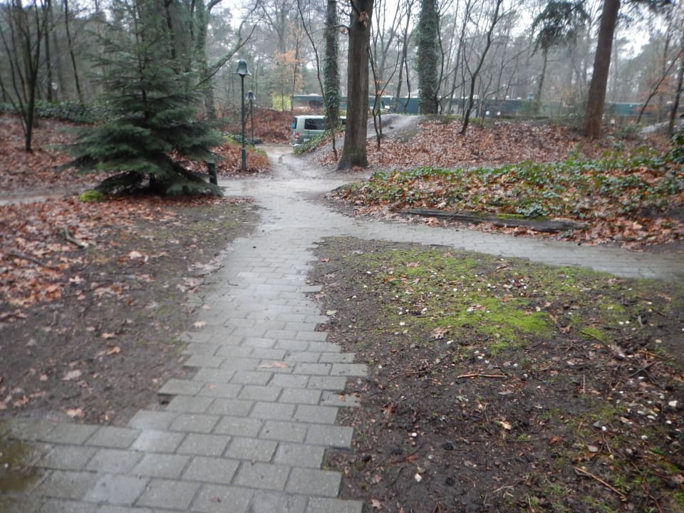 Wege zum Haus Center Parcs Het Heijderbos