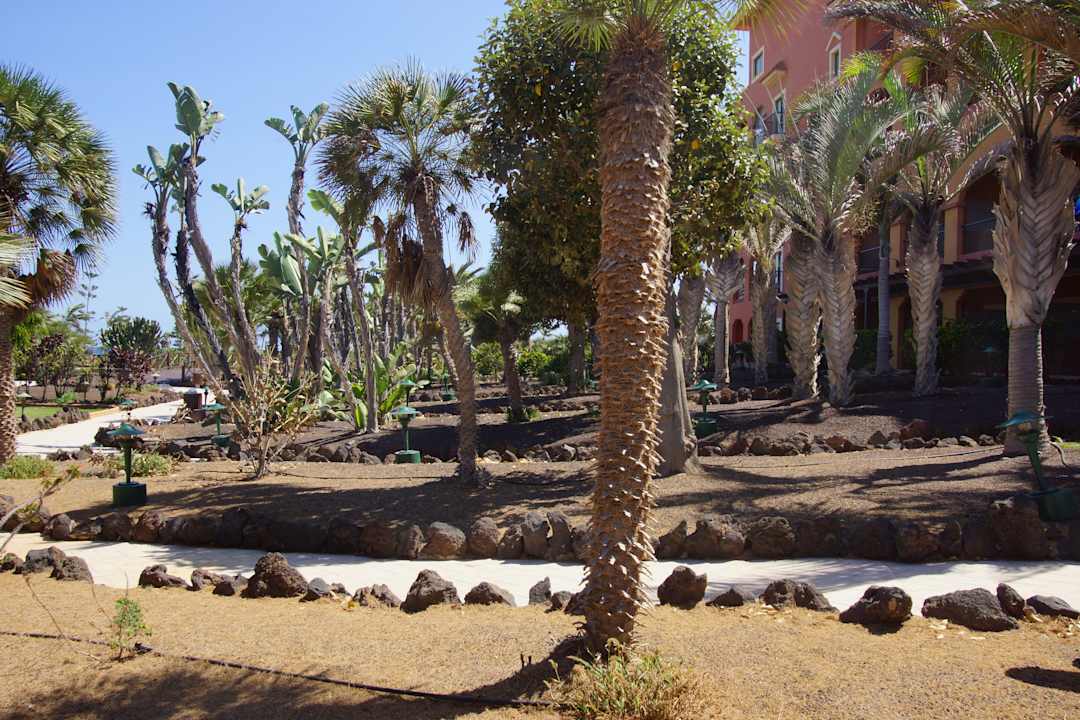 Gartenanlage Sheraton Fuerteventura Golf & Spa Resort