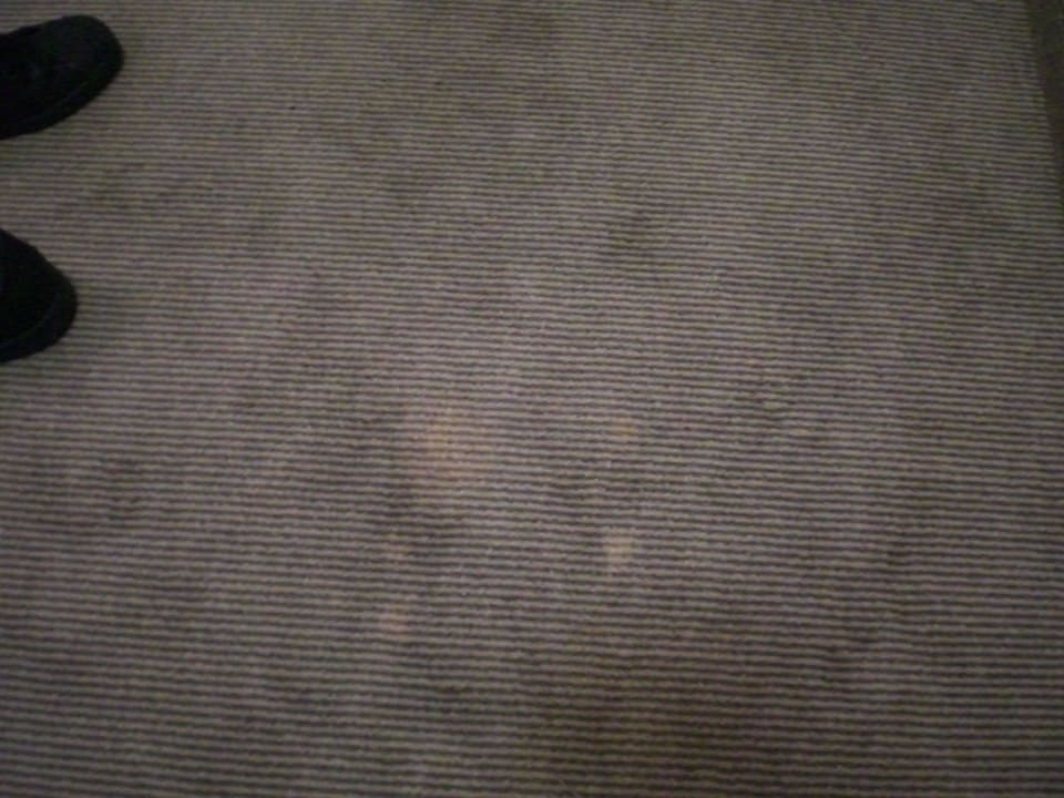 Teppich im Zimmer, igitt Hotel Mercure Hagen