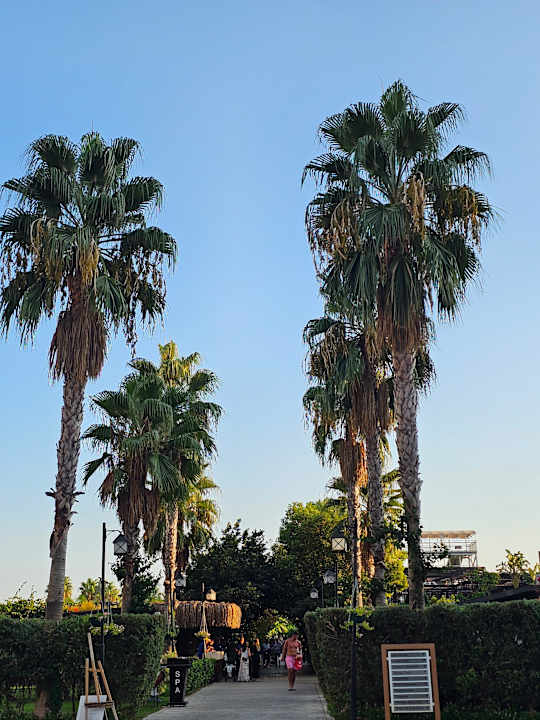 Gartenanlage Adalya Elite Lara