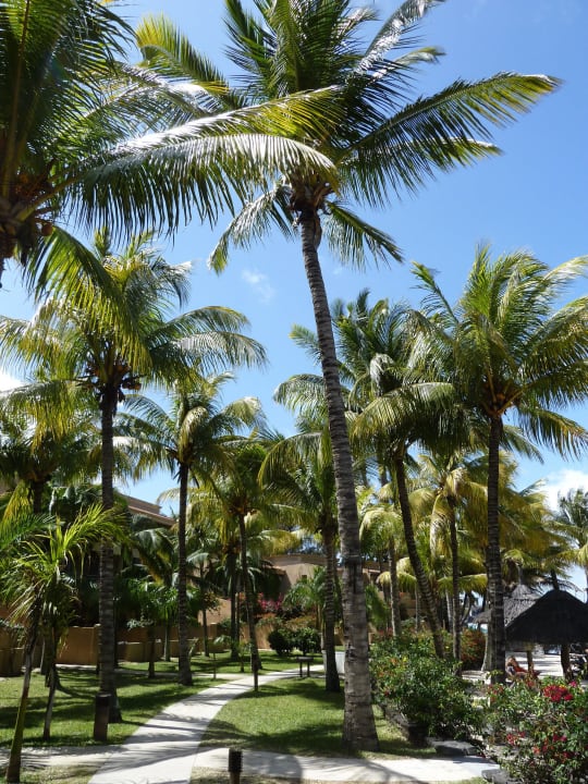 Einer der vielen Wege in der Anlage Mauricia Beachcomber Resort & Spa