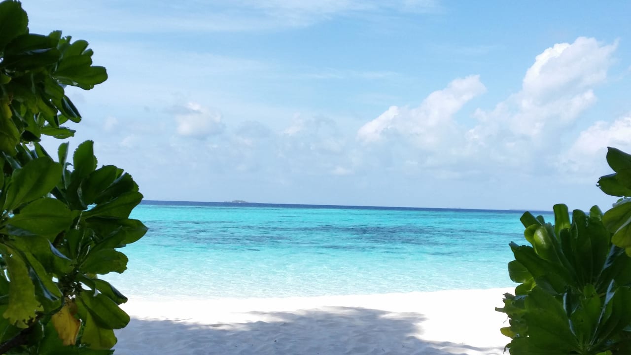 Ausblick von Liege Angaga Island Resort