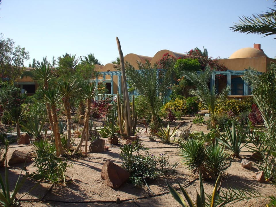 Bungalows im 3000er-Bereich Sheraton Miramar Resort El Gouna