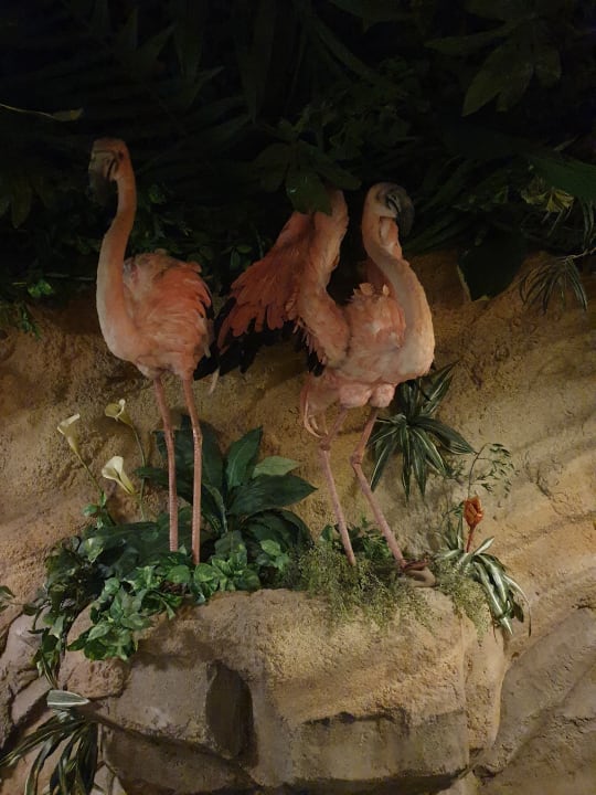 Gastro Ferienwohnungen Ferienpark Weissenhäuser Strand