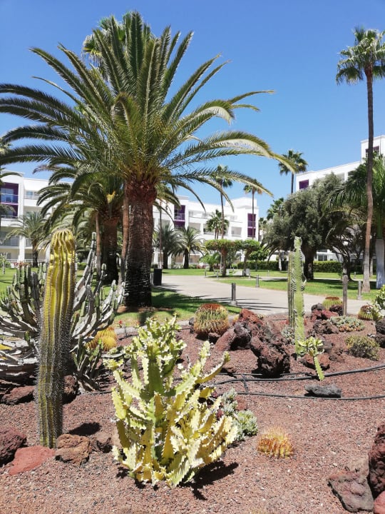 Gartenanlage Hotel Riu Gran Canaria