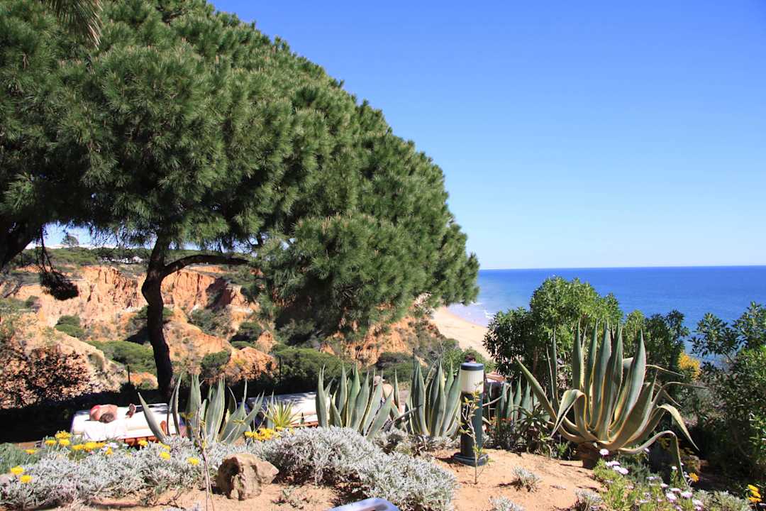 Ruhezone PortoBay Falésia